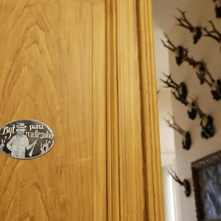 Historicke Zelenohorska Posta Непомук