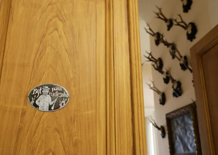 Historicke Zelenohorska Posta Nepomuk (Plzen-South)