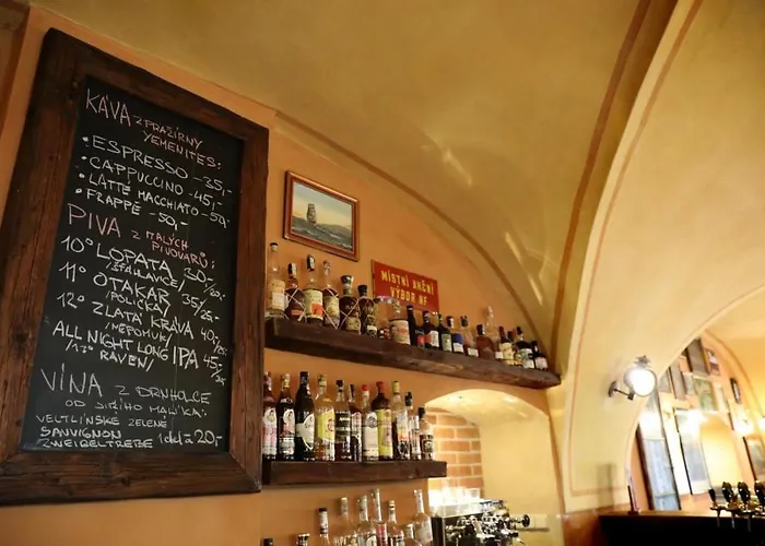 Apartament Historicke Zelenohorska Posta Nepomuk (Plzen-South)